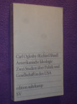 Amerikanishe ideologie zwei studien gesellschaft in den usa