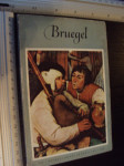 BRUEGEL - pocket library of great art