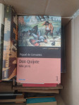 Don Quijote (dio prvi)