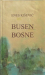 Enes Kišević: Busen Bosne