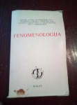 Fenomenologija, Nolit Beograd - 1975. godina