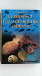 Glavonošci, puževi i školjke Jadrana