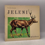Jeleni