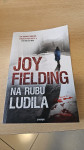 Joy Fielding: Na rubu ludila
