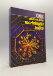 Morfologija bajke