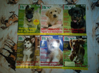Partner hund časopis (njemački) 2008. god. - 6 komada