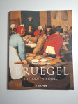 Pieter Bruegel - Rose-Marie Hagen , Rainer Hagen - Taschen