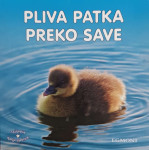 Pliva patka preko Save