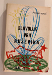Predrag Kordić - Slavoluk vrh ruševina