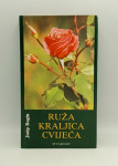 Ruža kraljica cvijeća