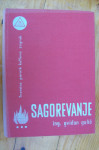 SAGOREVANJE ČVRSTIH, TEČNIH I PLINSKIH GORIVA U PARNIM KOTLOVIMA