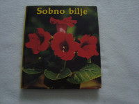 Sobno bilje / RASPRODAJA