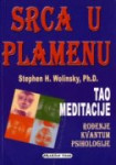 stephen h. wolinsky SRCA U PLAMENU, Tao meditacije