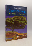 Swedenborg: Buddha sa sjevera