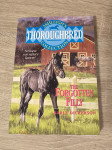 Thoroughbred The forgotten filly