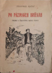 Tugomil Ujčić: Po pazinskeh briegah