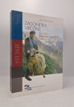 Zagonetka virdžine