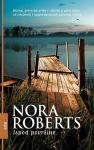 Nora Roberts: Ispod površine
