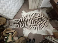 Zebra - preparat - Prodajem