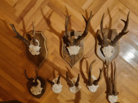 Zidni lovački trofeji