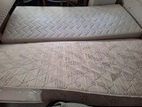 Madraci i nadmadraci