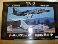 FUJIMI 1/48 T-2 AGRESSOR