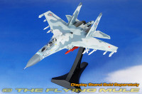 Witty Wings Su-30