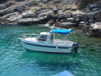 Clear Liner 600 & Yamaha F 40/70 GETL