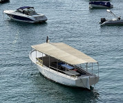 Drveni brod pasara / zamjena