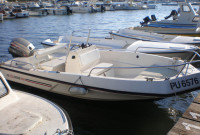 Gliser Elan 450F + Mariner 60 ks