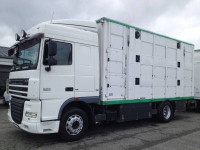 DAF XF105 410 livestock trailer truck