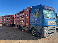 MAN TGA 26.480 kamion + prikolica,  prijevoz životinja, stočar