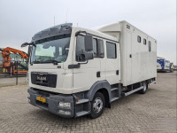 MAN TGL 12.180 - Doka Horse transporter