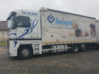 RENAULT MAGNUM  6x2,460 ps, EURO5, SAMO ŠASIJA-AKCIJA !!!