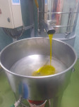 Ekstra djevičansko maslinovo ulje 2023