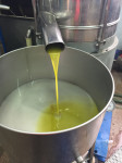 Maslinovo ulje, bio, prirodno 12 eura litar Plastovo Skradin