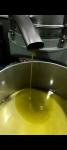 Maslinovo ulje garantirana kvaliteta