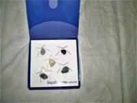 Prodajem drago kamenje H.STERN  Brazilian gems collection