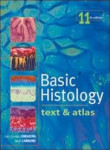 Basic Histology text & atlas 11th edition, Junqueira, 2005.