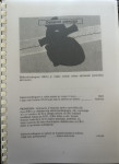 Brza interpretacija EKG