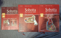 Sobotta - Atlas anatomije čovjeka i tablice 22. Izdanje