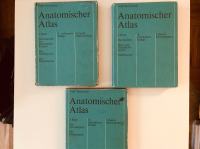 Toldt,Hochstetter : Anatomischer Atlas (Anatomski atlas) 1-3