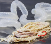 Svinjsko crijevo 30/32, 25m - 32855