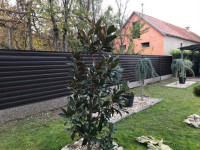 Limena ograda - moderan sustav (materijal)