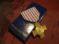 Francuska medalja Križ ratnika, aktualni model, bronca s pozlatom, kut