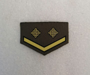 HV Čin Rukavni Desetnik - za službenu odoru