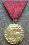 Medalja za 10 godina Jugoslavenske narodne armije