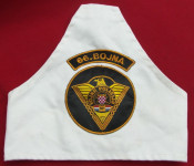Orukavnik 66 Bojne Vojne policije