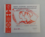 Savez Pionira Jugoslavije - Priznanje za primitak u organizaciju