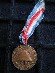 VATROGASCI - medalja NOVA BUKOVICA - 1904-1984.
